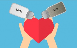 Kali quan trọng thế nào đối với huyết áp khỏe mạnh?