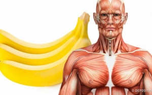 Cơ thể thay đổi như thế nào khi ăn 2 quả chuối mỗi ngày