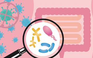 Hệ vi khuẩn đường ruột có ảnh hưởng gì tới cơ thể bạn?