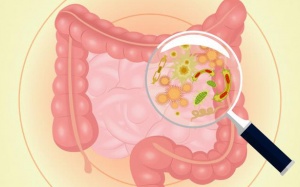 Kháng sinh có thể làm tăng nguy cơ ung thư ruột ở phụ nữ