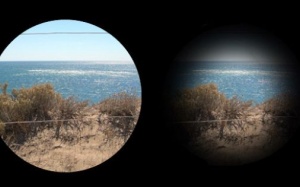 Dễ mù khi bị mất thị lực ngoại biên