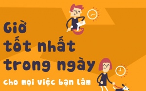 [Inforgraphics]: Chọn giờ “hoàng đạo” cho các công việc trong ngày