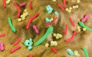 Phát hiện hợp chất mới có thể giúp ngăn ngừa đái tháo đường