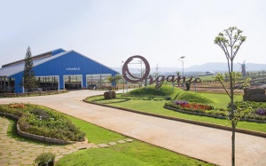 Chuyện chưa kể về hành trình ra mắt sữa tươi organic trên đất Việt