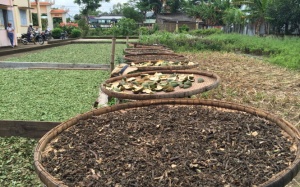 Lỡ nhiễm chì, giải độc bằng cách nào?