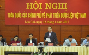 Thủ tướng: Y học cổ truyền là một kho báu