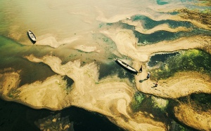 Những bức ảnh xuất sắc nhất từ cuộc thi nhiếp ảnh bằng điện thoại