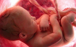 Tránh xa các hóa chất độc hại có thể biến đổi giới tính từ nam sang nữ