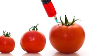 Ưu nhược điểm của thực phẩm GMO từ góc độ ăn chay