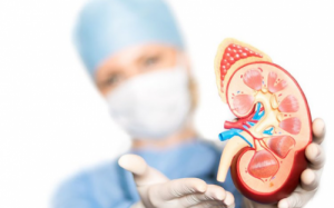 5 loại thực phẩm tốt cho người bị bệnh thận