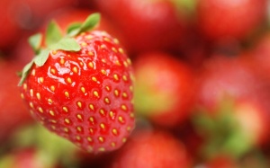 Ăn dâu tây giúp ngăn ngừa ung thư vú