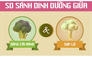 Bông cải xanh và súp lơ: Nhìn giống nhau nhưng khác 1 trời 1 vực