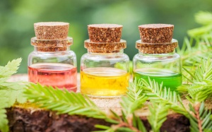 9 loại tinh dầu dành cho người bị đái tháo đường