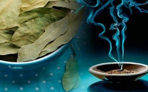 Biện pháp làm giảm căng thẳng tự nhiên nhờ lá nguyệt quế