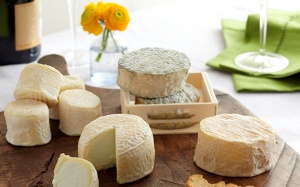 Sống lâu hơn và ngăn ung thư gan nhờ hợp chất có trong pho mát