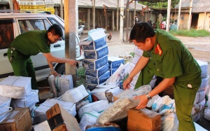 Kho đông lạnh chứa 2 tấn thực phẩm từ năm 2015