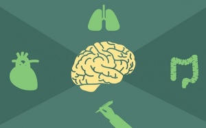 Làm thế nào để nhận biết sớm các dấu hiệu bệnh Parkinson?