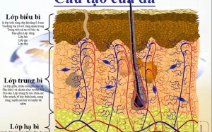 3 lợi ích tuyệt vời nếu bạn chọn cách 'chống nắng từ bên trong'