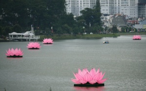 Mãn nhãn với 7 đài sen khổng lồ trên hồ Xuân Hương