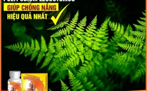 Giải pháp chống nắng cho da vào mùa hè hiệu quả nhất
