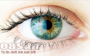 Tia cực tím và nguy cơ phơi nhiễm tia cực tím gây hại cho mắt