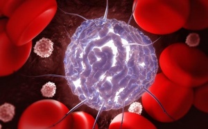 Những điều cần biết về ghép tế bào gốc điều trị ung thư máu