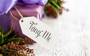 Ngày của Mẹ: Một vài sự thật thú vị về các bà mẹ