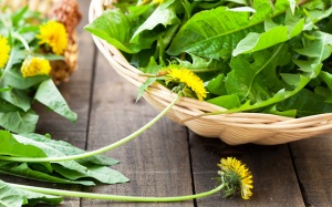 10 loại thảo mộc giúp chống ung thư mạnh mẽ