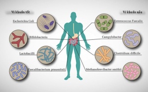 Những bí ẩn khó tin đằng sau 'rối loạn' tiêu hóa