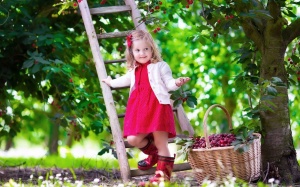 Tử vi 12 cung hoàng đạo thứ hai (15/5/2017)