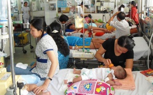 Hà Nội: Gần 700 người mắc mắc sốt xuất huyết từ đầu năm đến nay