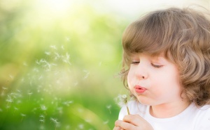 Tử vi 12 cung hoàng đạo thứ bảy (20/5/2017)