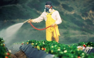 Thuốc bảo vệ thực vật trong thực phẩm hữu cơ, thực phẩm biến đổi gene