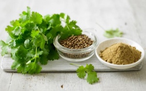 Rau mùi: Giải pháp ngăn ngừa rụng tóc, mụn trứng cá và cải thiện tiêu hóa