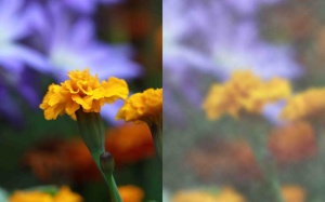 Nguyên nhân nào khiến bạn bị nhìn mờ?