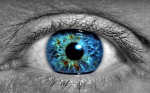 Video: Người bị mù màu nhìn thấy thế giới có màu gì?