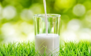 Uống sữa tách béo có tốt cho sức khỏe?