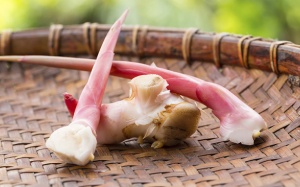 Thật bất ngờ: Củ riềng chính là giải pháp chống ung thư mạnh mẽ