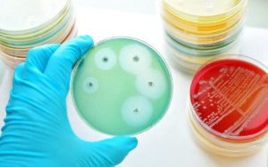 Loại kháng sinh cực mạnh có thể chống lại các loại siêu vi khuẩn