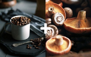 Siêu thực phẩm 2017: Ngon từ cà phê, bổ từ nấm