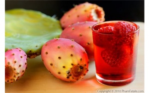 Nước uống từ cây xương rồng: Thức uống đẹp da, phòng bệnh hot nhất Hè này