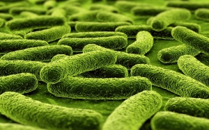 Immunecanmix® - Giải pháp giúp phòng và hỗ trợ bệnh nhân suy giảm miễn dịch