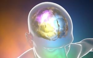 Động kinh liên quan tới cách thức bộ não lưu trữ và nhớ lại ký ức