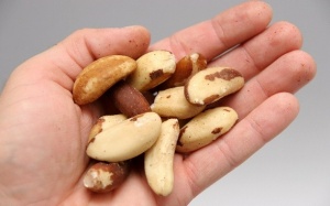 7 dấu hiệu cảnh báo bạn bị sỏi mật