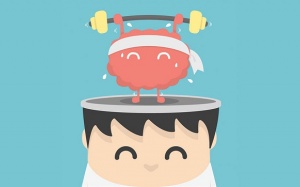 Infographic: Chuẩn bị thể chất giúp sỹ tử học nhanh vào hơn