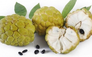 Ăn na tốt cho sức khỏe như thế nào?