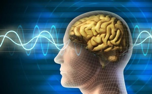 5 loại thực phẩm bạn đang ăn hàng ngày có thể làm tổn thương não