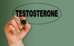 Testosterone là gì?