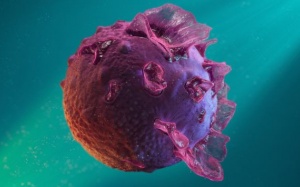 5 triệu chứng thường gặp của bệnh herpes EBV