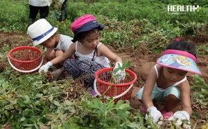 Cuối tuần cùng bé trải nghiệm 'Thu hoạch lạc' ở Love Garden